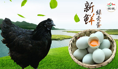 产品的介绍图|DM/宣传单/平面广告|平面|吸血鬼不坏 - 原创设计作品 