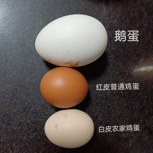 百姓家常餐 三黄蛋炒黄瓜